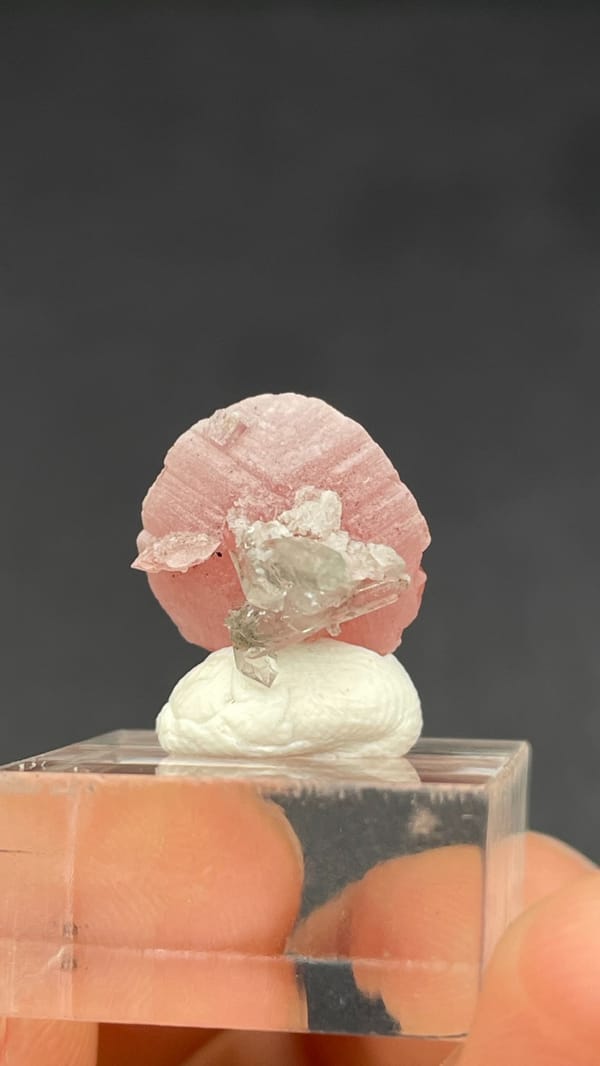 Rose-pink rhodochrosite shell on quartz from Wuzhou, Guangxi, China, top view