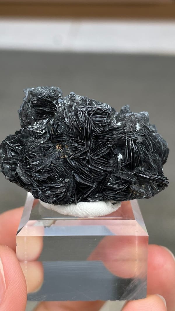Black metallic specular hematite rosettes with quartz from Guangdong, China, on a stand