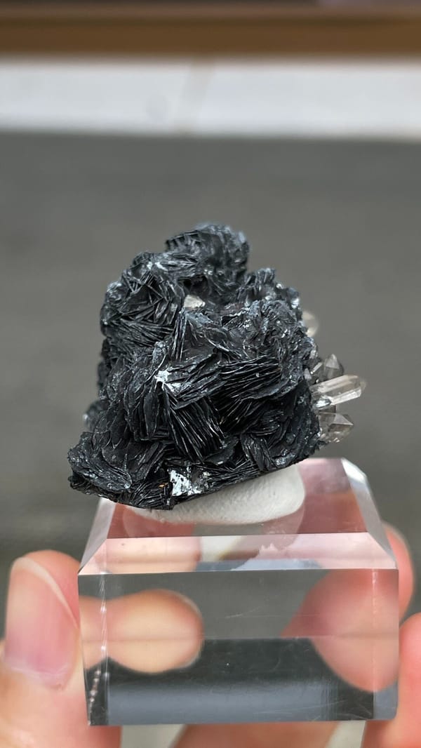 Black metallic specular hematite rosettes with quartz from Guangdong, China, close-up of the crystal faces