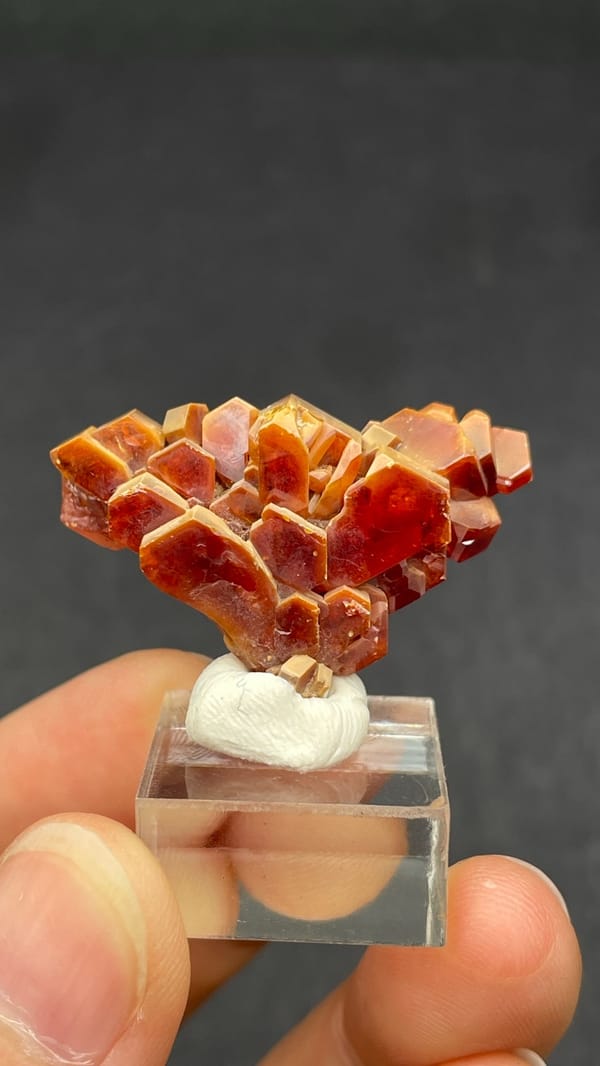 Branching deep red vanadinite crystal group from Morocco, on an acrylic stand