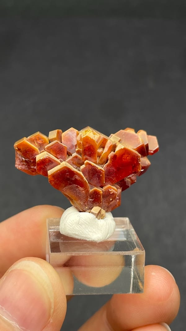 Branching deep red vanadinite crystal group from Morocco, on an acrylic stand, second angle