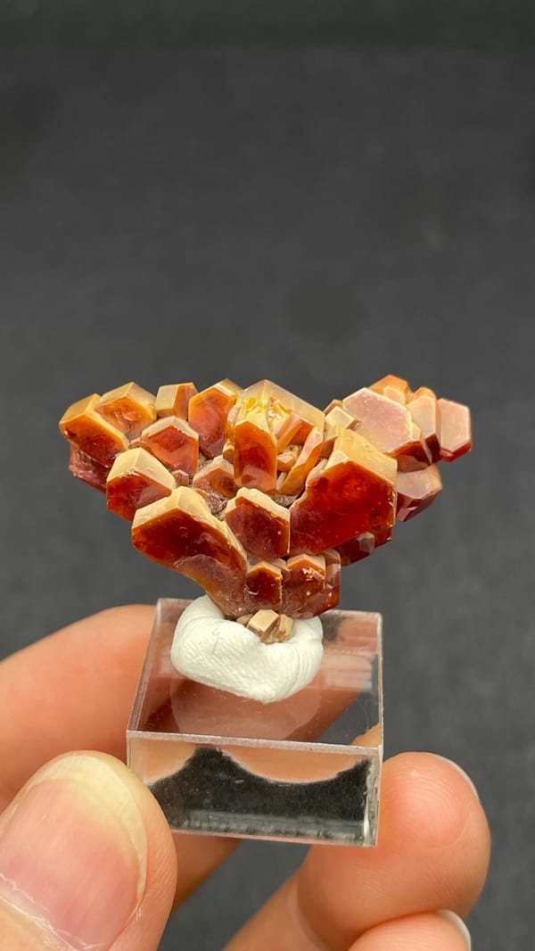 Branching deep red vanadinite crystal group from Morocco, on an acrylic stand, reverse side