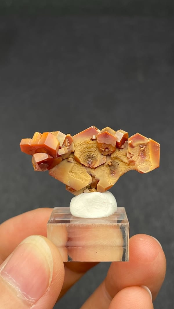 Branching deep red vanadinite crystal group from Morocco, on an acrylic stand, top view