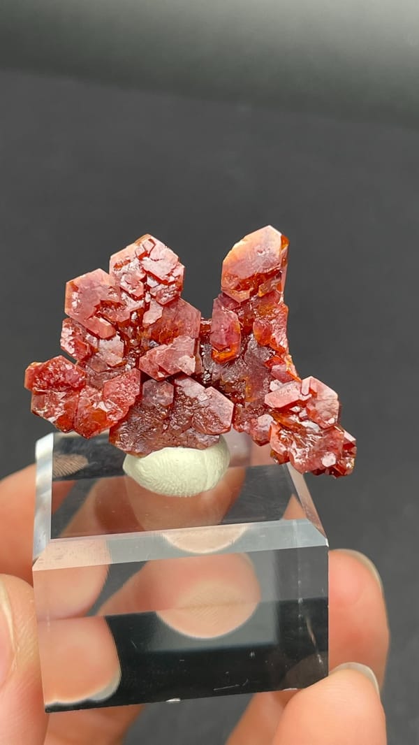 Branching red-orange vanadinite crystals from Morocco on an acrylic stand