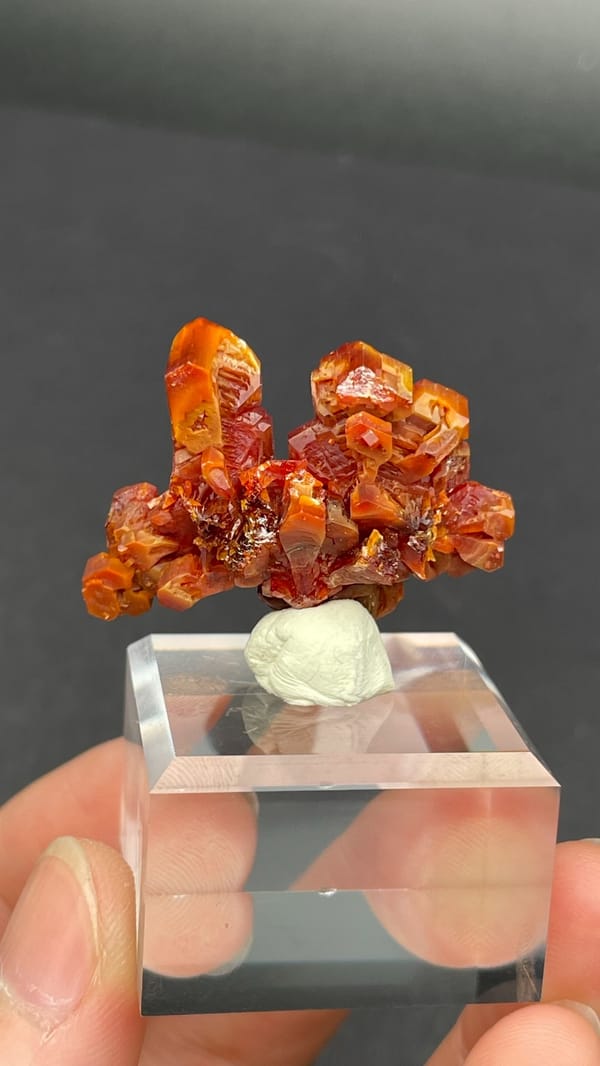 Branching red-orange vanadinite crystals from Morocco on an acrylic stand, second angle
