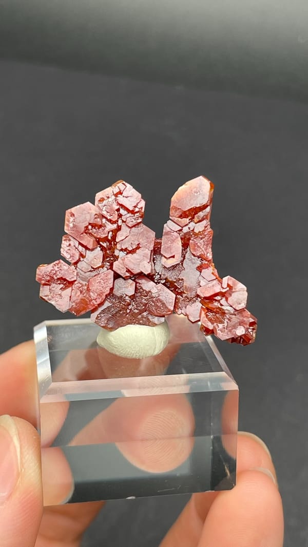 Branching red-orange vanadinite crystals from Morocco on an acrylic stand, close-up of the crystal faces