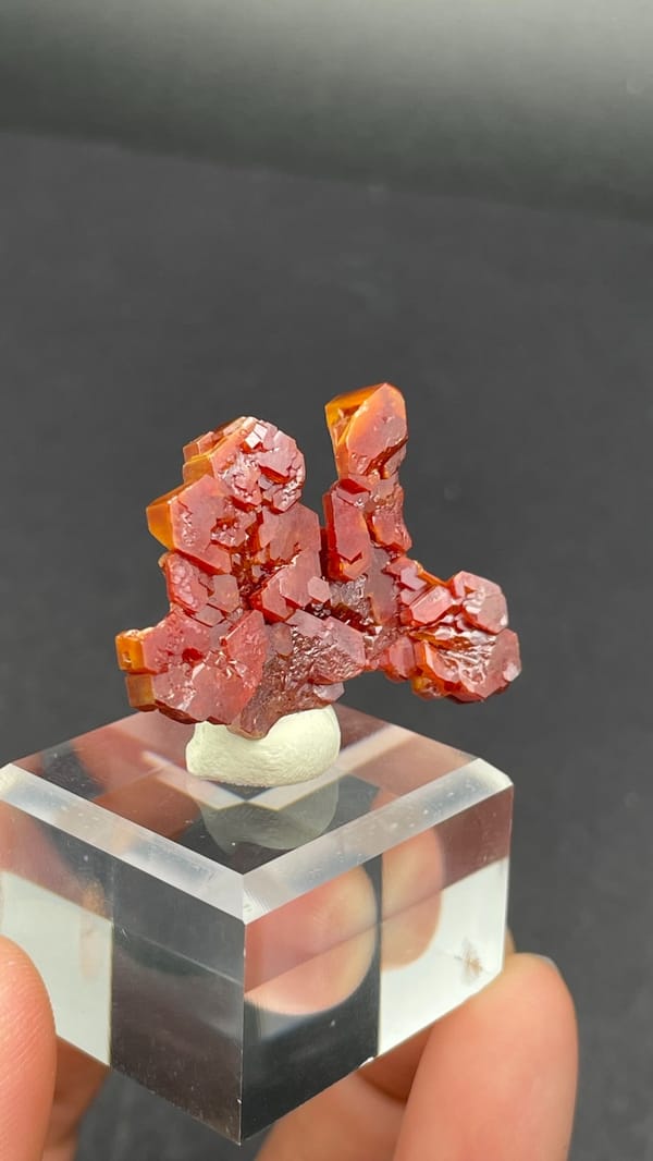Branching red-orange vanadinite crystals from Morocco on an acrylic stand, top view