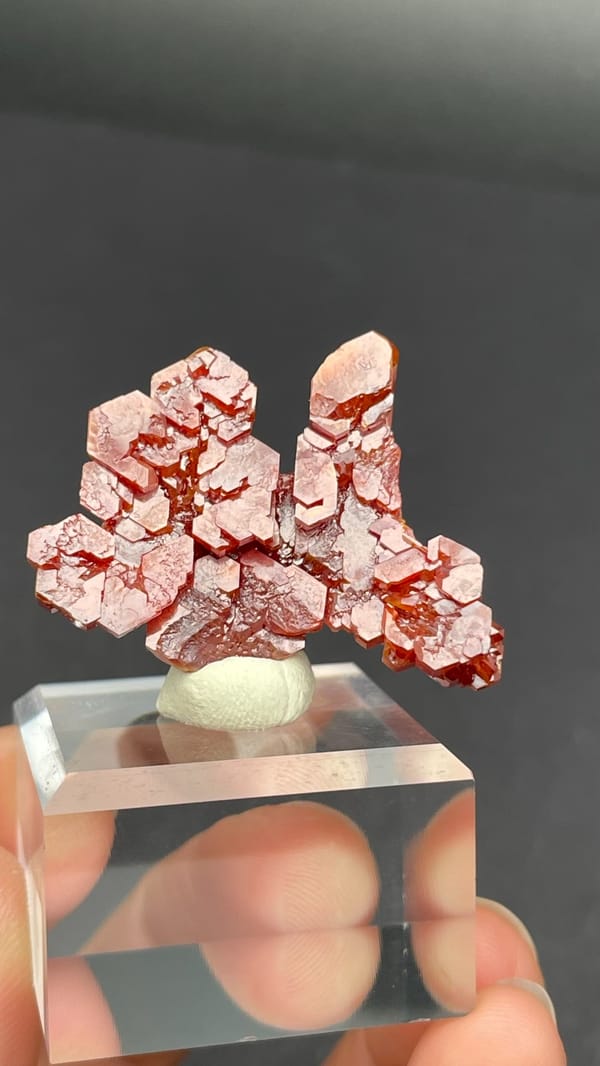 Branching red-orange vanadinite crystals from Morocco on an acrylic stand, detail of the matrix contact