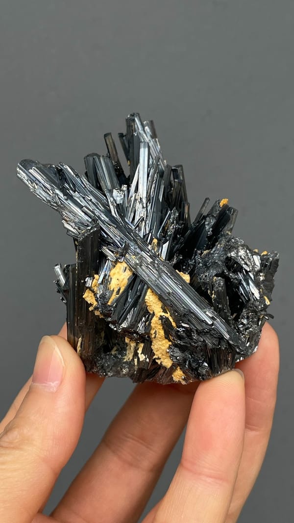 Radiating steel-grey stibnite blades from Yunnan, China, held in hand