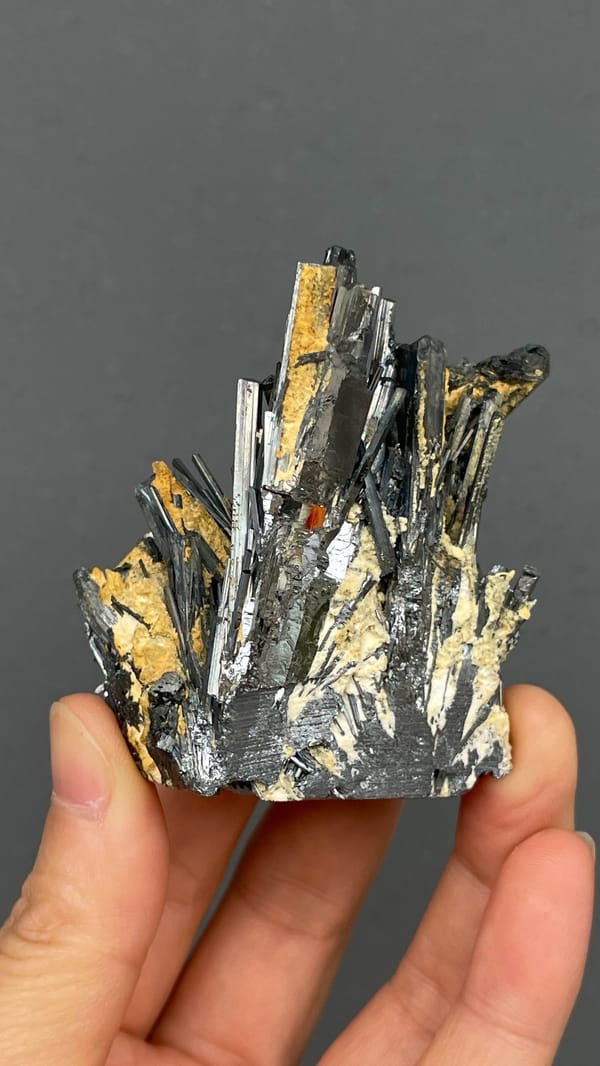 Radiating steel-grey stibnite blades from Yunnan, China, close-up of the crystal faces