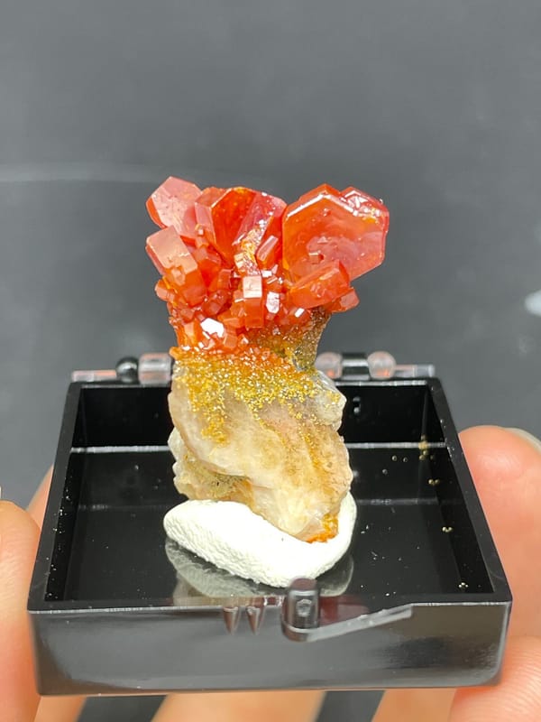 Red-orange vanadinite crystals on a golden matrix from Morocco, in a display box