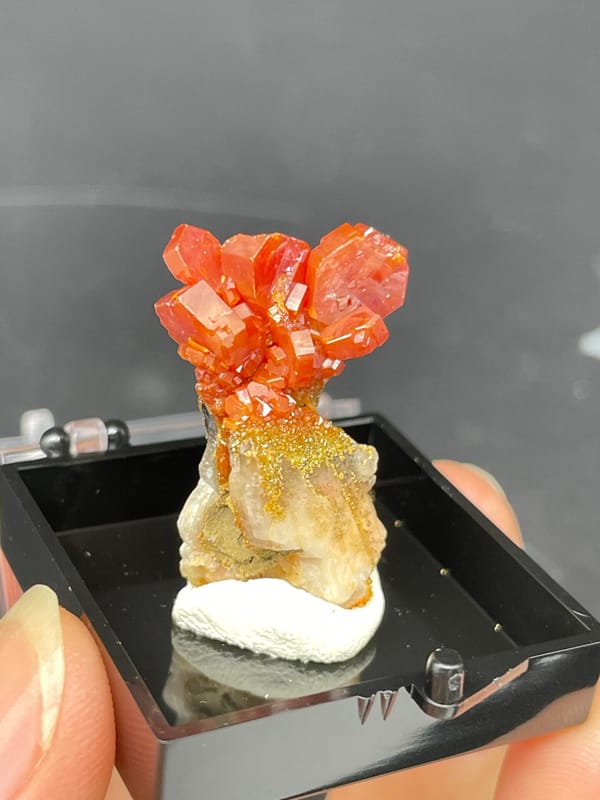 Red-orange vanadinite crystals on a golden matrix from Morocco, in a display box, second angle