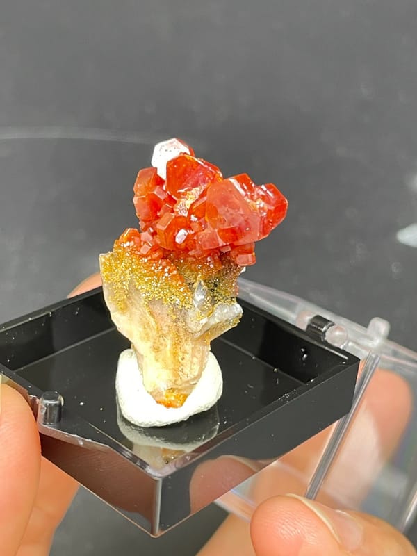 Red-orange vanadinite crystals on a golden matrix from Morocco, in a display box, close-up of the crystal faces