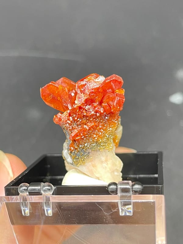 Red-orange vanadinite crystals on a golden matrix from Morocco, in a display box, reverse side