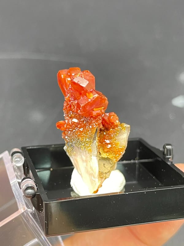 Red-orange vanadinite crystals on a golden matrix from Morocco, in a display box, top view