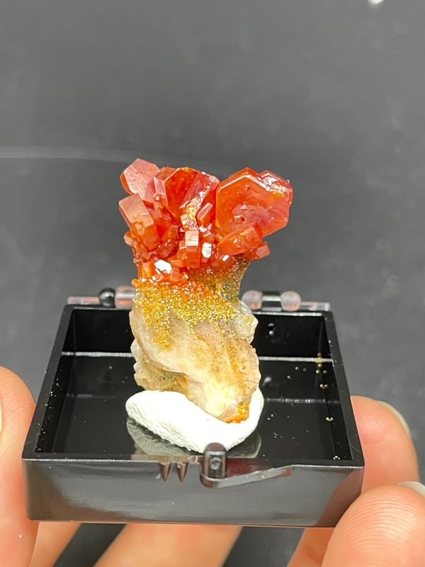 Red-orange vanadinite crystals on a golden matrix from Morocco, in a display box, detail of the matrix contact