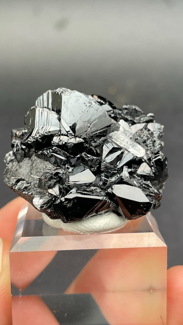 Black lustrous cassiterite with a clear quartz crystal from Xuebaoding, Sichuan