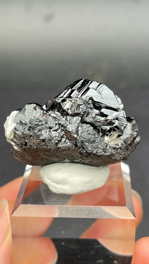 Black lustrous cassiterite with a clear quartz crystal from Xuebaoding, Sichuan, side view