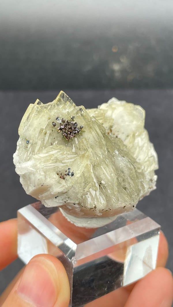 Cream bladed baryte fan from Morocco, on an acrylic stand, second angle
