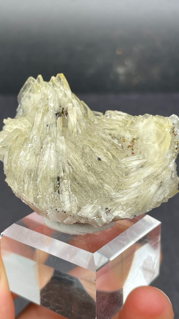 Cream bladed baryte fan from Morocco, on an acrylic stand, close-up of the crystal faces