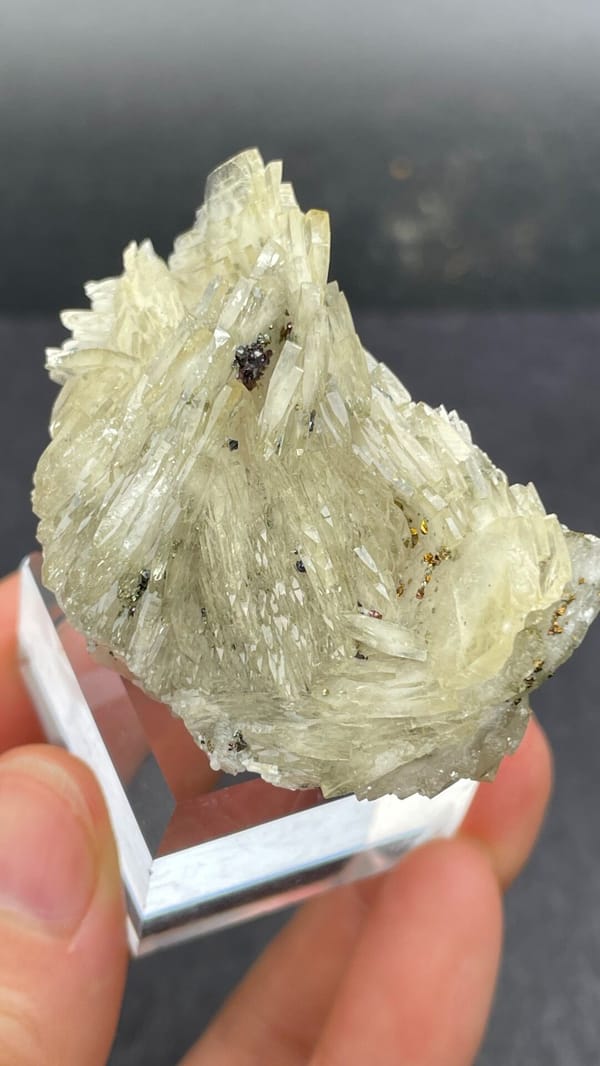 Cream bladed baryte fan from Morocco, on an acrylic stand, reverse side
