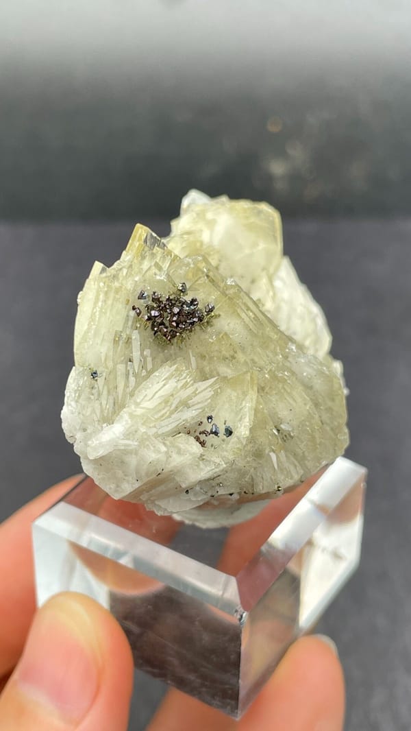 Cream bladed baryte fan from Morocco, on an acrylic stand, detail of the matrix contact
