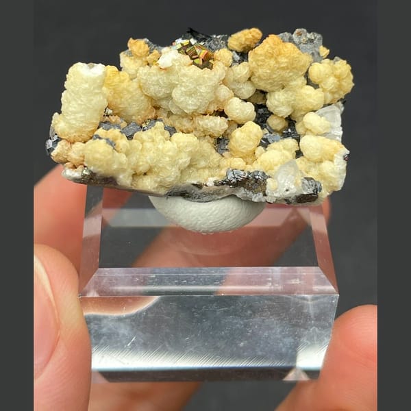 Galena Crystals with Cream Crust Bulgaria 3.6 cm — complete view