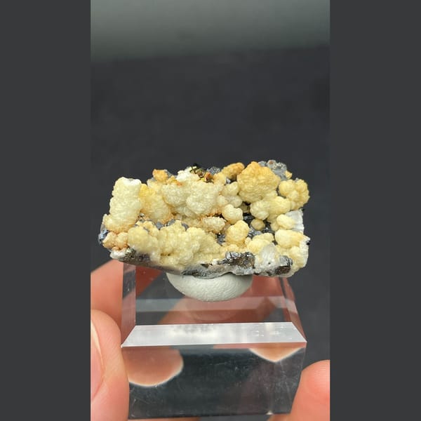 Galena Crystals with Cream Crust Bulgaria 3.6 cm — alternate view