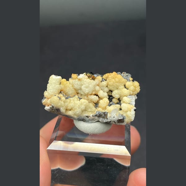 Galena Crystals with Cream Crust Bulgaria 3.6 cm — alternate view
