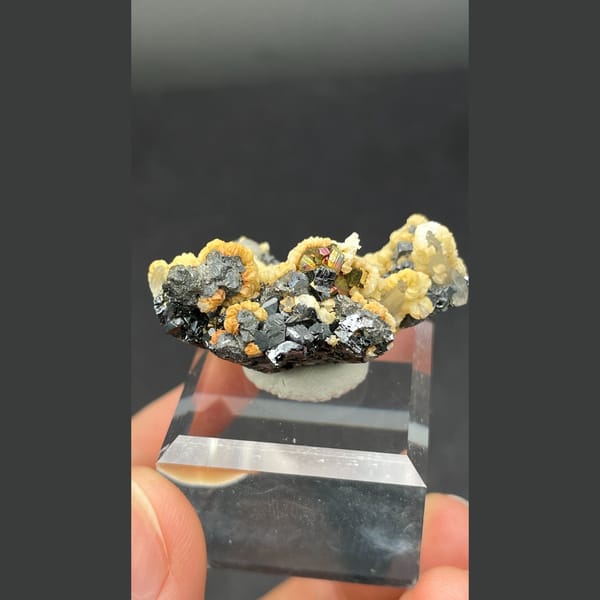 Galena Crystals with Cream Crust Bulgaria 3.6 cm — detail view