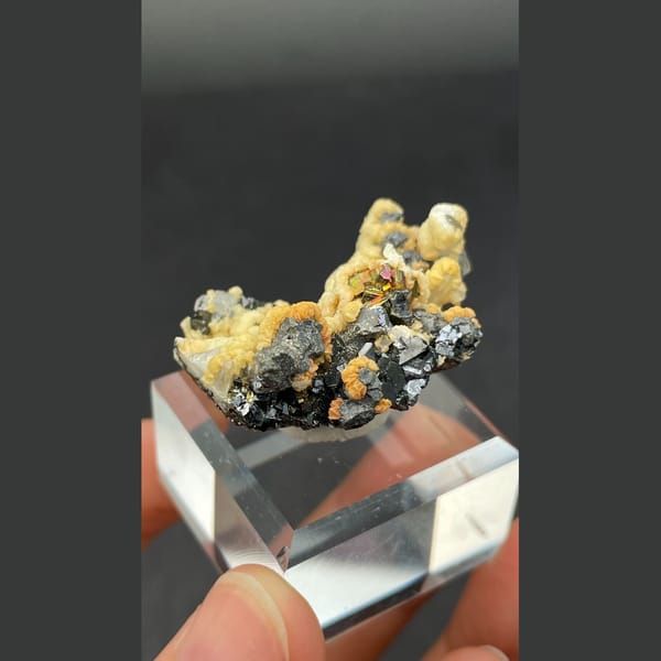 Galena Crystals with Cream Crust Bulgaria 3.6 cm — detail view