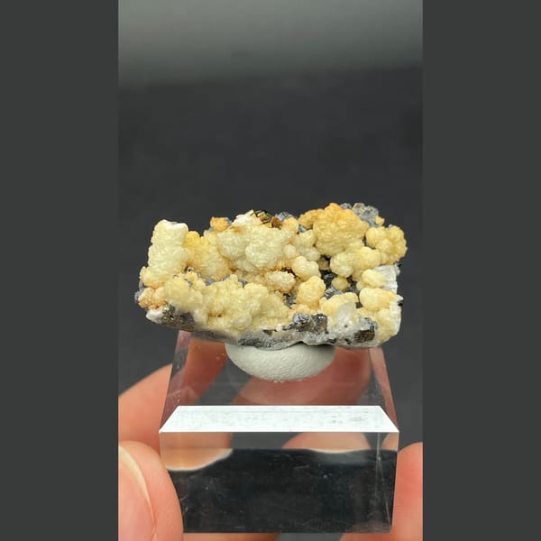 Galena Crystals with Cream Crust Bulgaria 3.6 cm — detail view