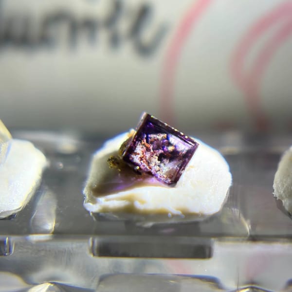 Purple fluorite cube from the set of nine mini fluorite crystals, close-up in its display case, photo 2 of 3