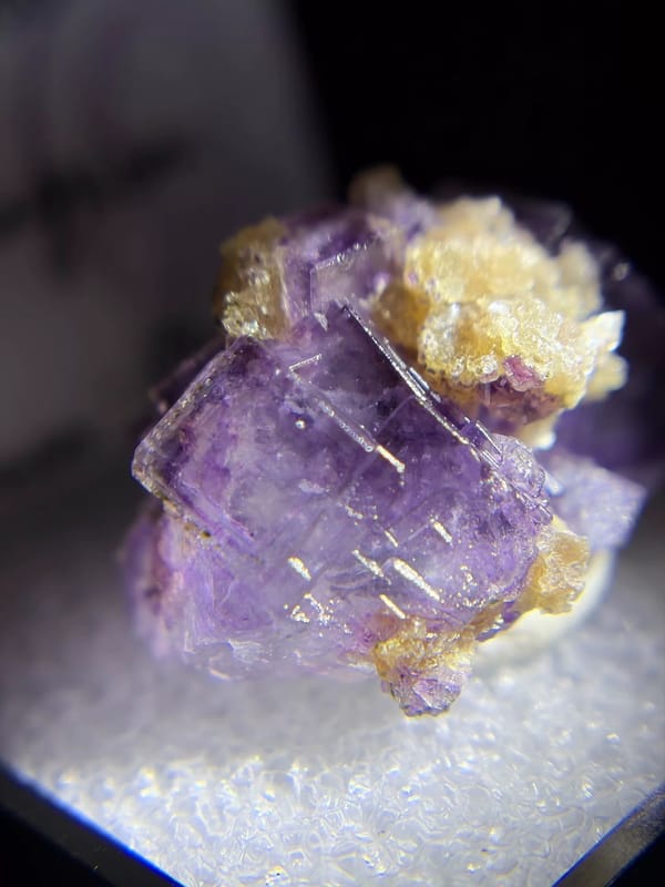 Deep Purple Fluorite with Golden Muscovite — Yaogangxian, Hunan, China, natural mineral specimen, photo 4 of 8
