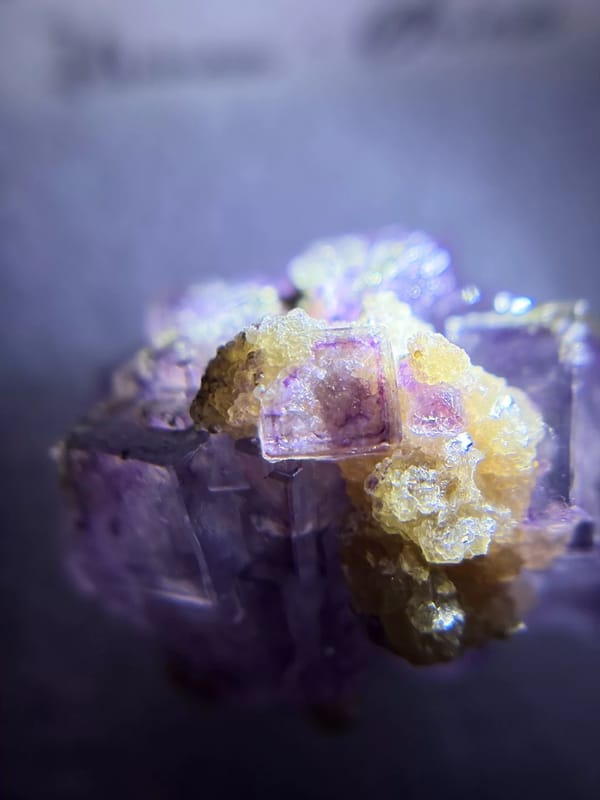 Deep Purple Fluorite with Golden Muscovite — Yaogangxian, Hunan, China, natural mineral specimen, photo 7 of 8