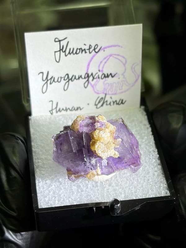 Deep Purple Fluorite with Golden Muscovite — Yaogangxian, Hunan, China, natural mineral specimen, photo 8 of 8