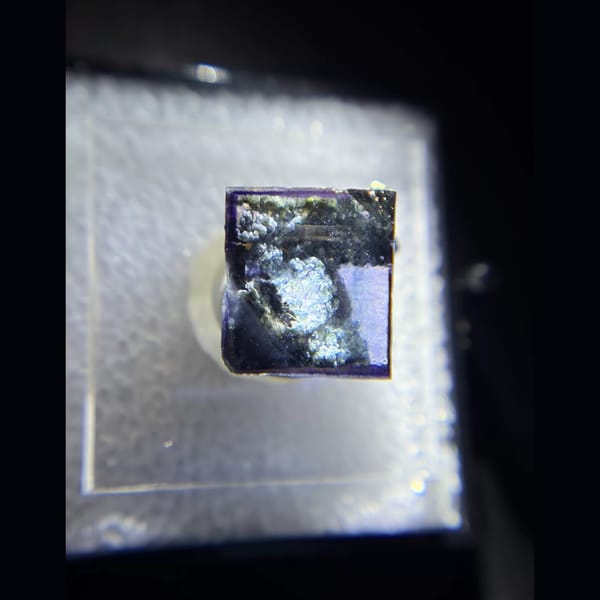 Deep blue-purple Yaogangxian fluorite cube in display box — complete view
