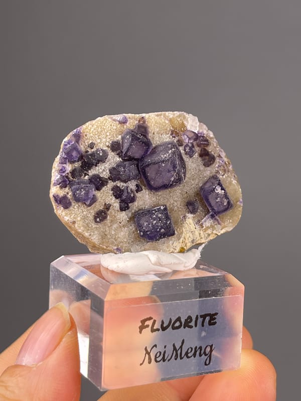 Purple Fluorite specimen from Inner Mongolia, China, defined by purple cubes on pale matrix