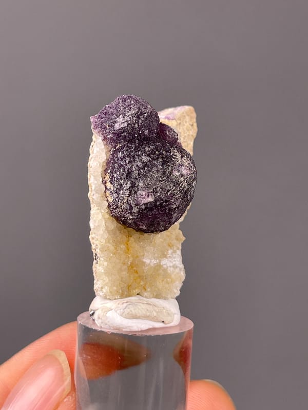 Purple botryoidal fluorite aggregates visible on purple fluorite specimen from Xinyang, Henan, China