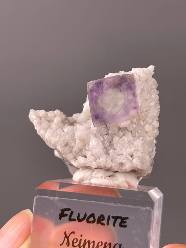 Purple phantom fluorite specimen from Inner Mongolia, China featuring purple zoned cube on white matrix