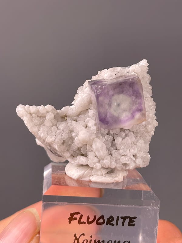 Purple phantom fluorite specimen from Inner Mongolia, China showing purple zoned cube on white matrix