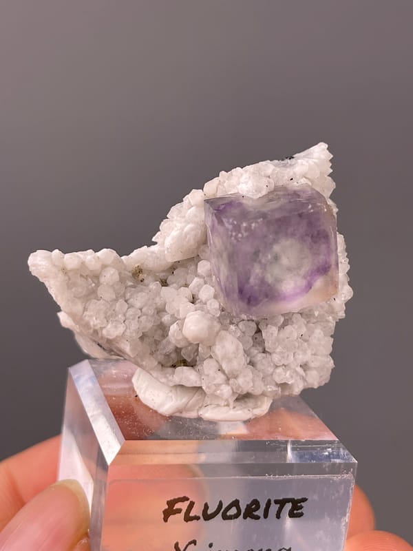 Purple phantom fluorite specimen from Inner Mongolia, China, defined by purple zoned cube on white matrix