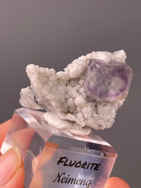 Purple phantom fluorite specimen from Inner Mongolia, China presenting purple zoned cube on white matrix