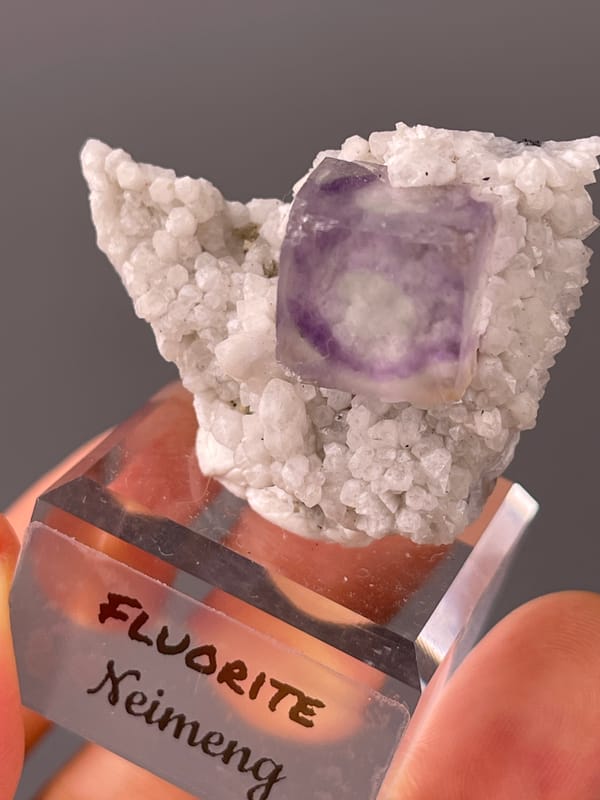 Purple zoned cube on white matrix on natural purple phantom fluorite specimen from Inner Mongolia, China