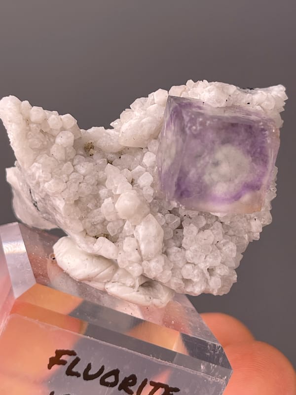 Purple phantom fluorite specimen from Inner Mongolia, China, characterized by purple zoned cube on white matrix