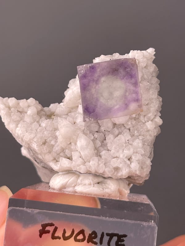 Purple phantom fluorite specimen from Inner Mongolia, China bearing purple zoned cube on white matrix