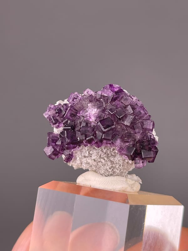 Stepped purple cubic crystals on natural purple zoned fluorite specimen from Zhejiang, China