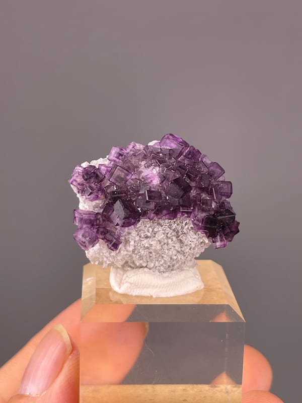 Purple Zoned Fluorite specimen from Zhejiang, China, characterized by stepped purple cubic crystals