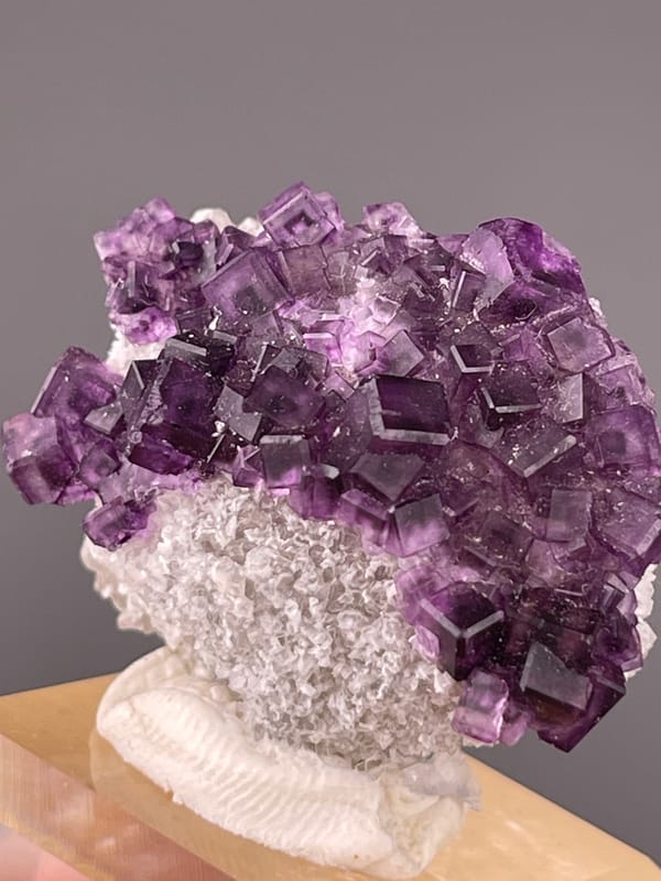 Purple Zoned Fluorite specimen from Zhejiang, China bearing stepped purple cubic crystals