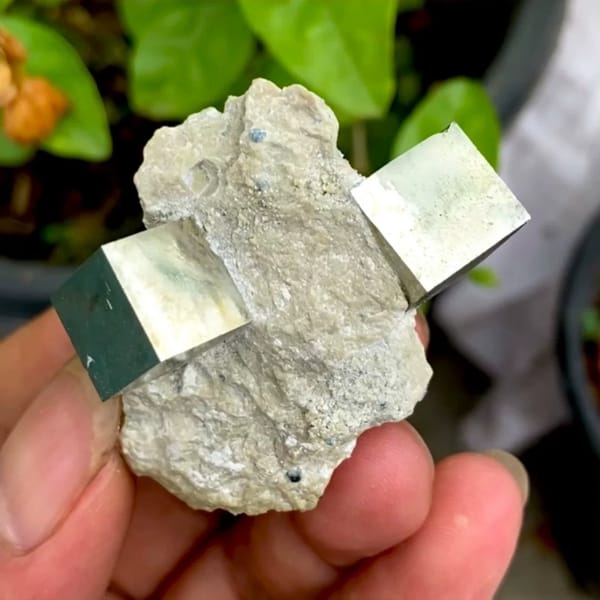 Two sharp brassy pyrite cubes on pale marl from Spain